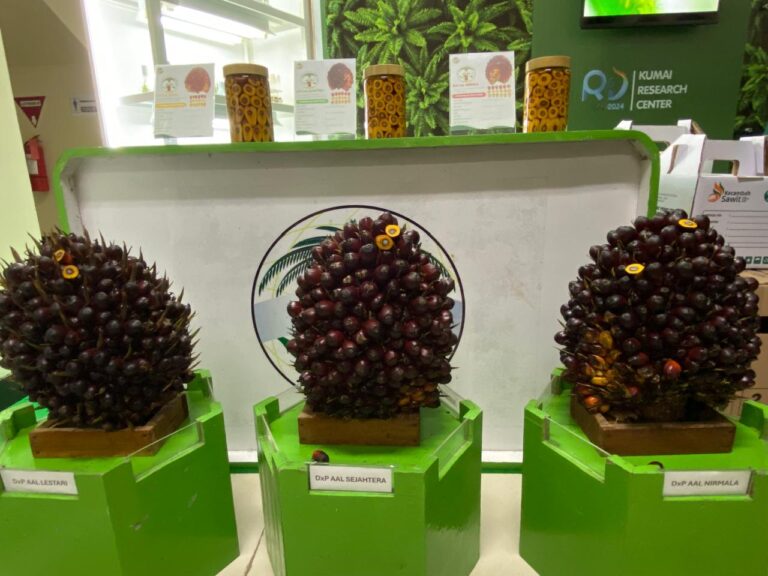 Astra Agro Perkuat Produktivitas dan Keberlanjutan Sawit Lewat Teknologi dan Riset Terpadu