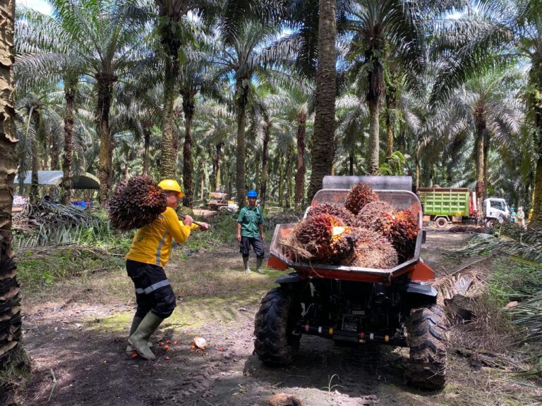 Astra Agro Jawab Tantangan Defisit Minyak Nabati Dunia dengan Penguatan Produktivitas Sawit