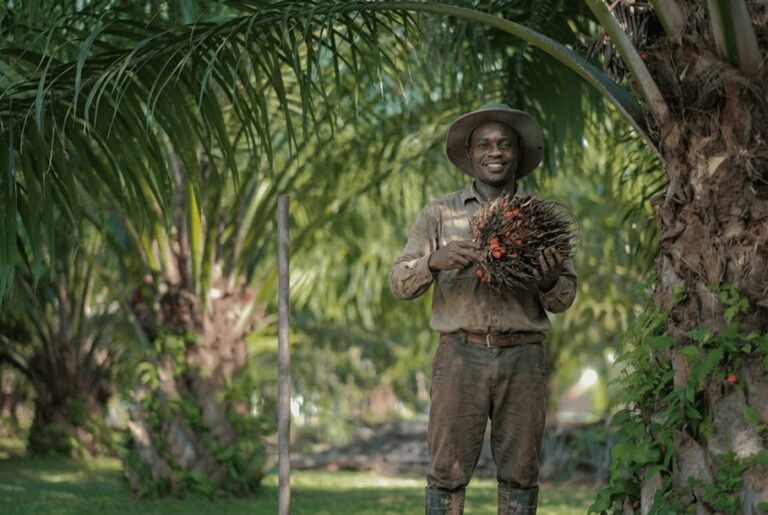 Planting Naturals Digitalisasi 7.224 Petani dalam Rantai Pasok Minyak Sawit Organik Bersertifikasi RSPO di Sierra Leone