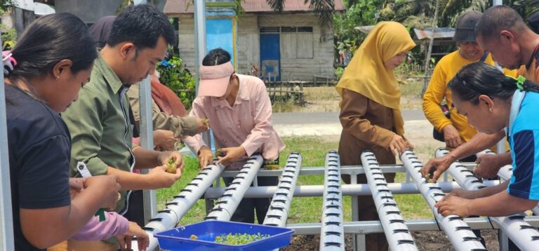 PT GSDI Dorong Kemandirian Kader Posyandu Lewat Program Hidroponik Berkelanjutan