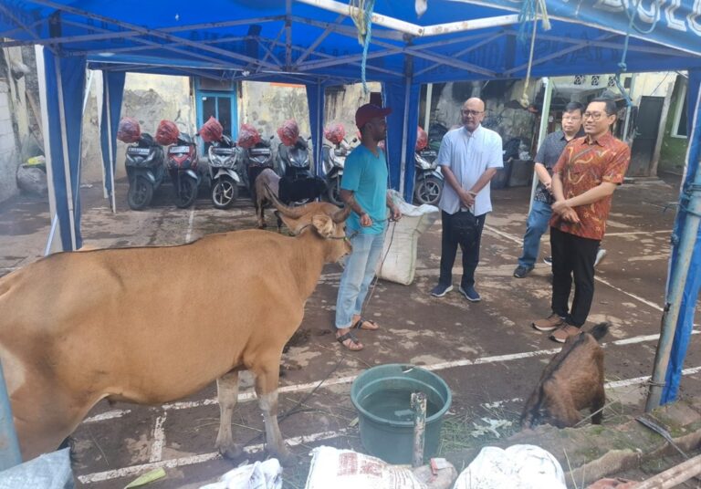Jaga Semangat Menghargai Keberagaman, Gereja Santa Theresia Serahkan Hewan Kurban