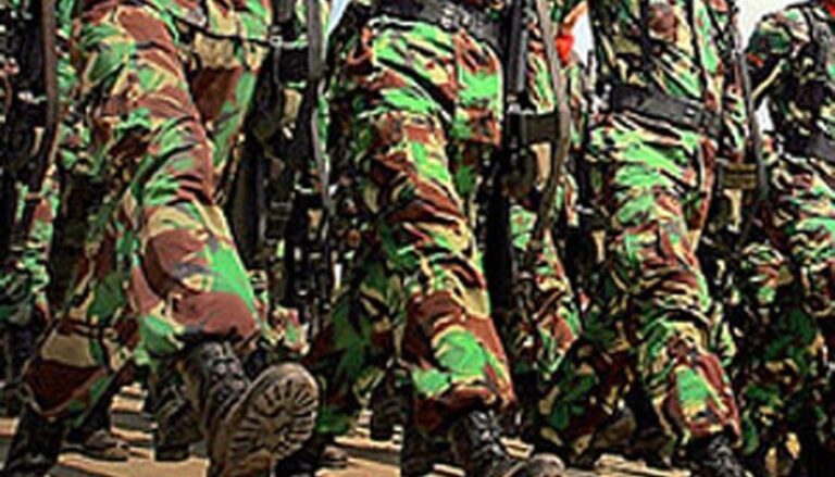 Multifungsi TNI dan Militerisasi Ruang Sipil merupakan Sinyal Berbahaya