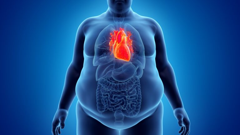 Novo Nordisk: 2 dari 5 Orang Berpenyakit Kardiovaskular Berisiko Serangan Jantung dan Stroke Lebih Tinggi