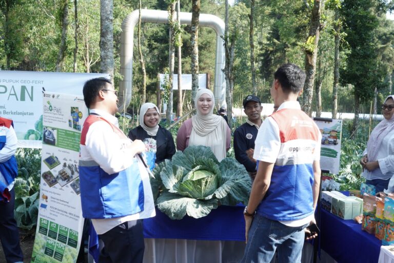 Inovasi GeO-Fert PGE Bantu Petani Kamojang Hasilkan 70 Ton Kubis